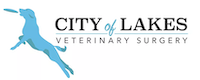 City of Lakes Veterinary Surgery