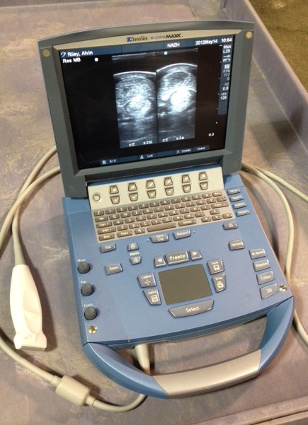 ultrasound2.JPG
