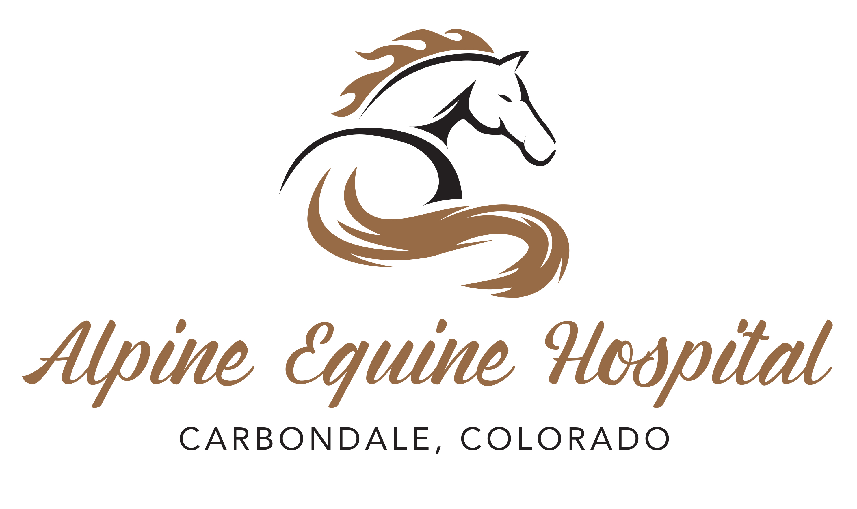 alpine equine hospital