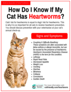 Feline Heartworms