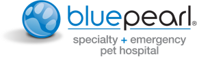 Bluepearl logo