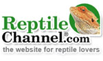 reptile.jpg