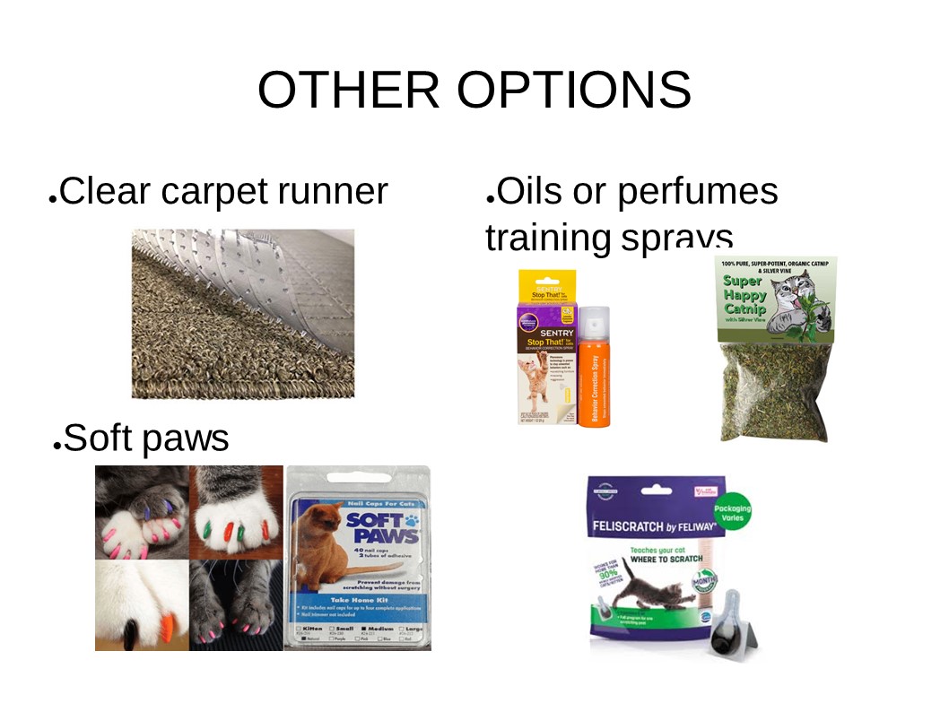 other options