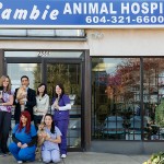 Team outside Cambie Animal Hospital in Vancouver, BC