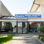 Cambie Animal Hospital
