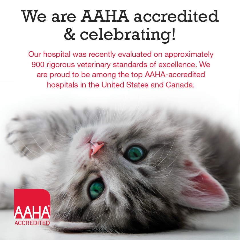 An Image stating that Happy Valley Veterinary Hospital is AAHA accredited