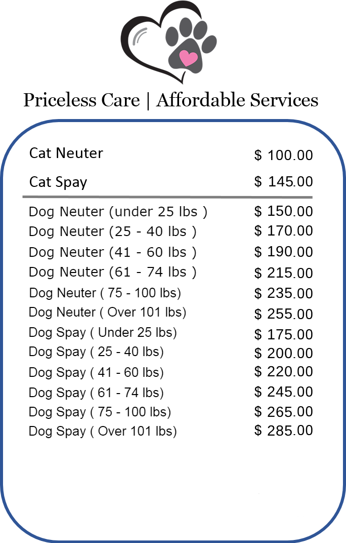 Pricelist of spay n neuter Pricelist of spay n neuter