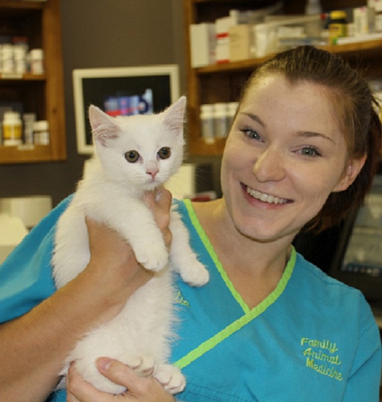 Kitten Wellness, New Kitten,, Family Animal Medicine, Owasso veterinarian
