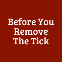 Before You Remove that Tick