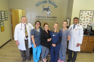 Photo by Marty Cheek From left: Dr. Michael Moore (medical director), Dr. Gisell Fiat (intern), Tracy Intravia (receptionist), Brianne England (veterinary technician) Annastasia Bradford (veterinary assistant) and Dr. Ravi Dhaliwal (chief of staff) comprise Silicon Valley Veterinarian Specialists.