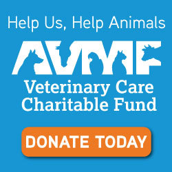 AVMF Veterinary Care Fund
