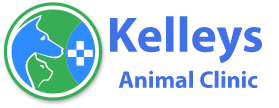 Kelleys Animal Clinic