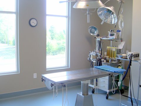 Surgery Suite