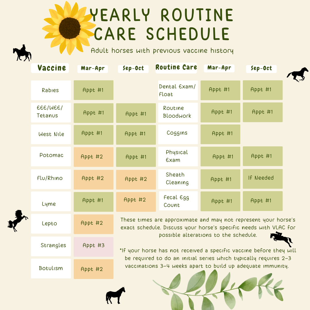 Yearly Vaccine Schedule