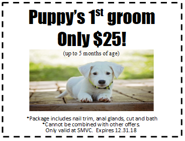 Puppy's first grooming only $25 (coupon)