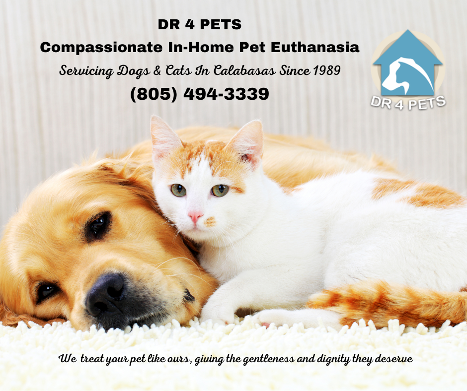 DR 4 PETS pet euthanasia Calabasas