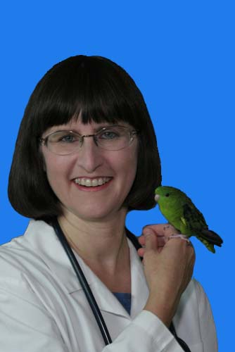 Avian Specialist Dr Hillary Frank with bird North Central Animal Hospital Phoenix AZ