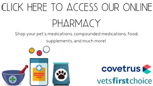 online pharmacy link food medications prescriptions pet supplies