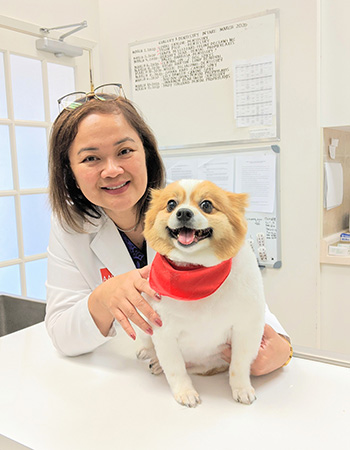 profile of dr irene and patient