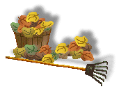 autumnbasket