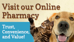 online-pharma