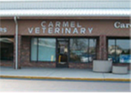 carmel clinic