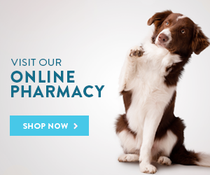 Veterinarian Online Pharmacy