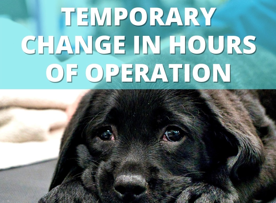Temporary Change in Hours of Operation