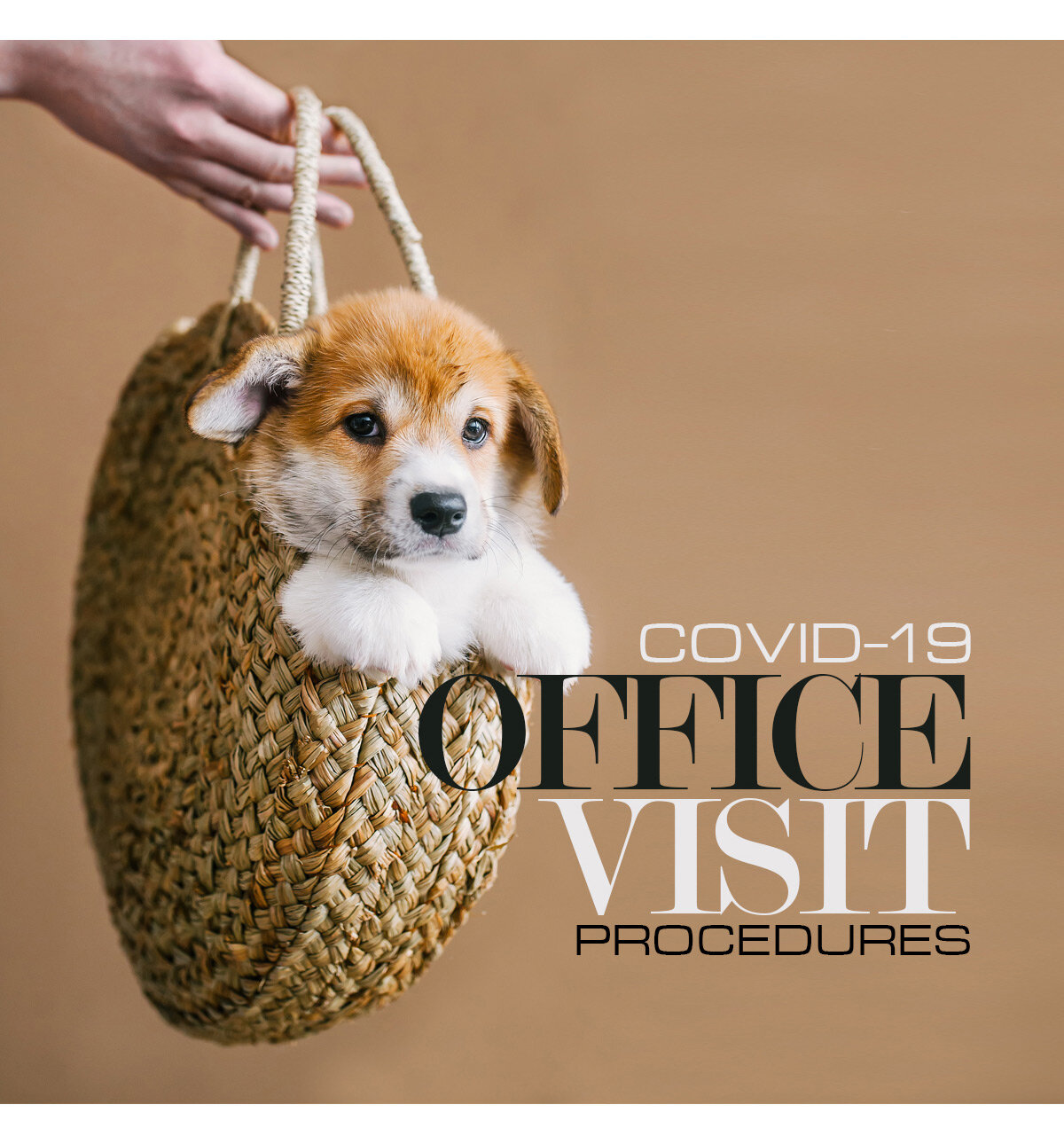 COVID-19 Office Visit
