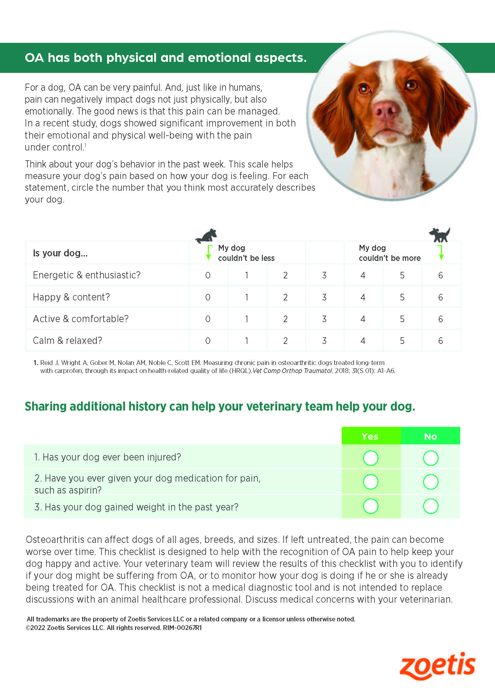 Canine OA checklist page 2