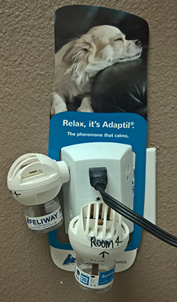 Adaptil and Feliway Calming Pheromones used in our Exam Rooms - Part of the All Pets Animal Hospital Fear Free Veterinary Initiative