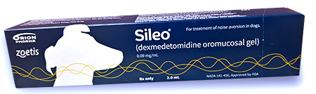 Sileo: a revolutionary new treatment for Canine Noise Aversion and Fireworks Fears in Dogs