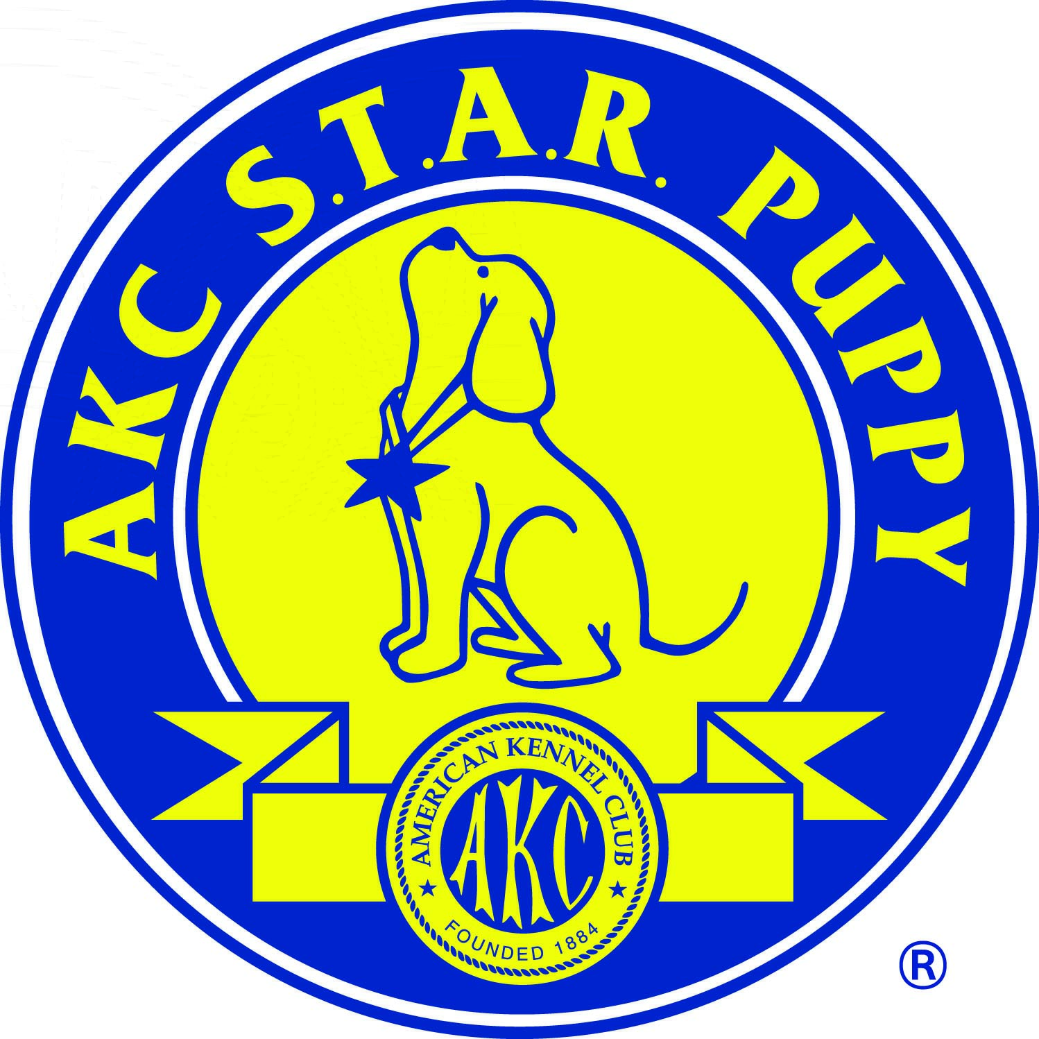 AKC Star Puppy Certification