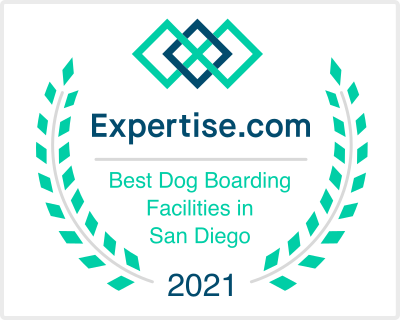 Best Dog Boarding Facilities 2021