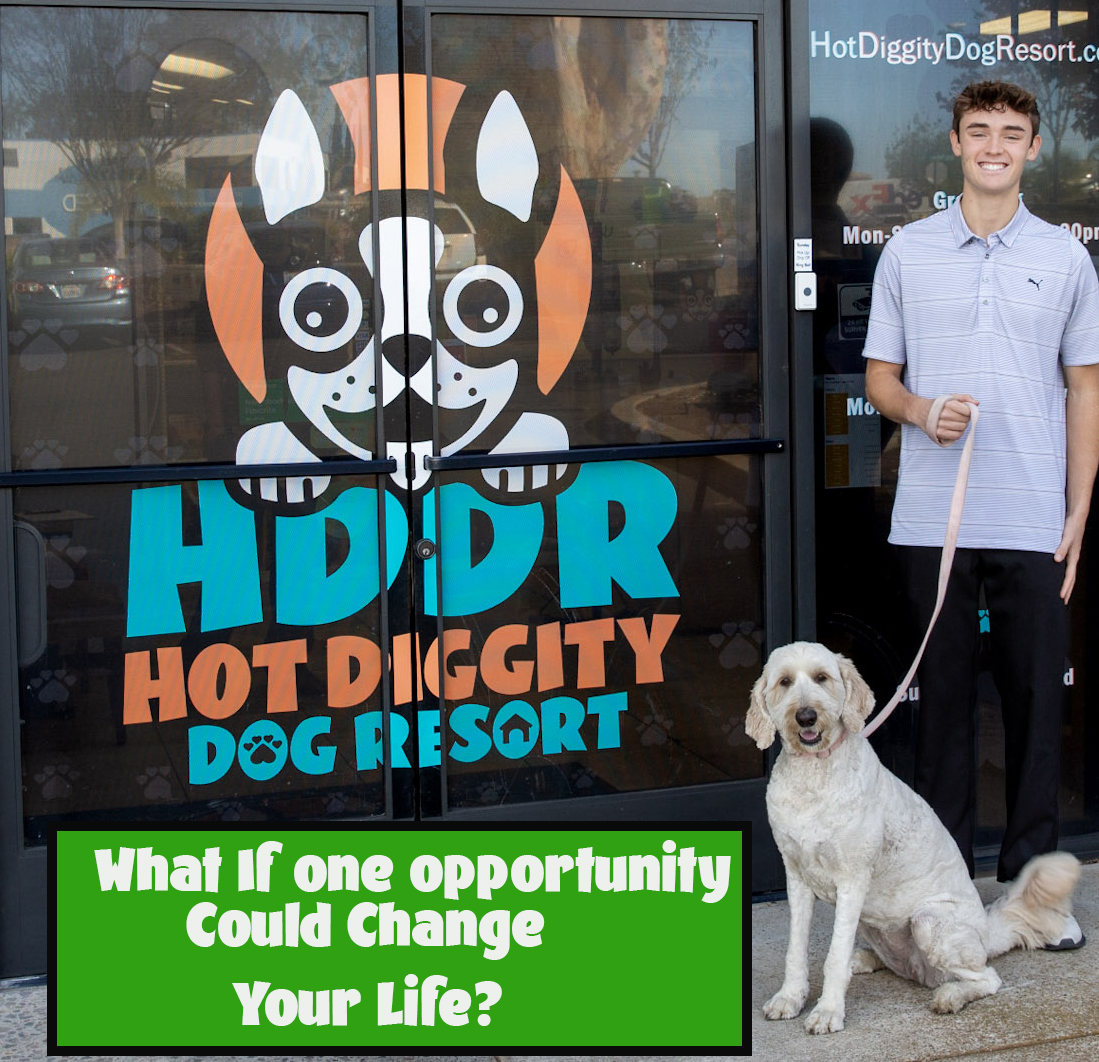 Hot Diggity Dog Resort Franchise