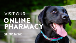 Click here to visit our online pharmacy.