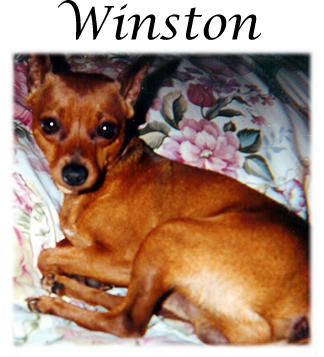 In Memory of Winston