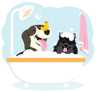 bathing services for your pets at Bath & Biscuits