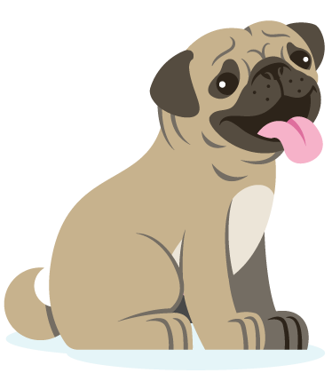 cute darling pug for bath and biscuit pet care pet grooming salon