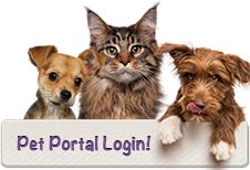 Pet Portal and Online Scheduling