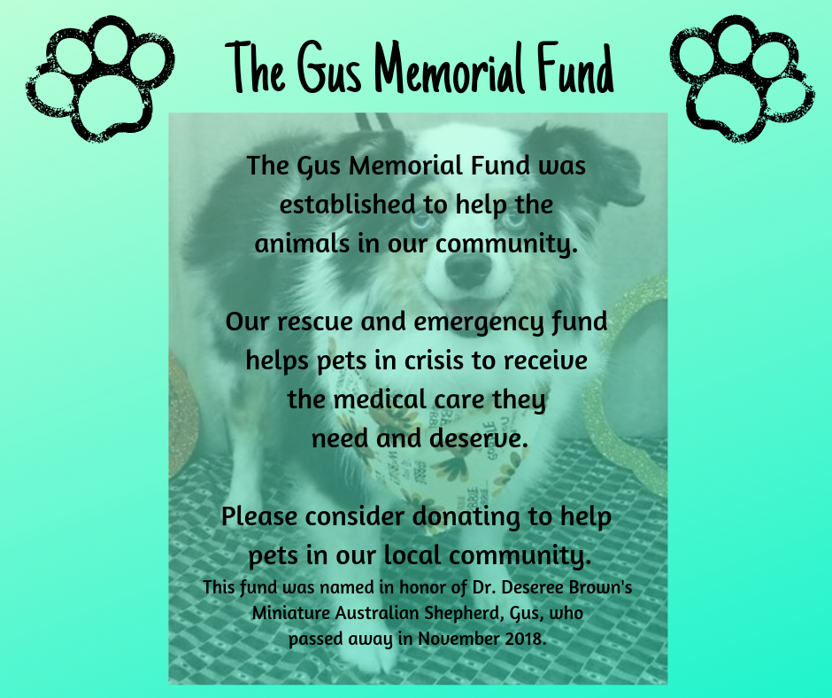 Gus Memorial Fund