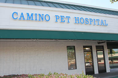 Camino Pet Hospital