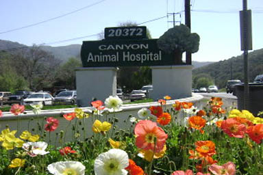 Canyon Animal Hospital