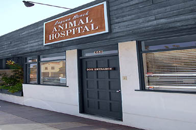 Laguna Beach Animal Hospital