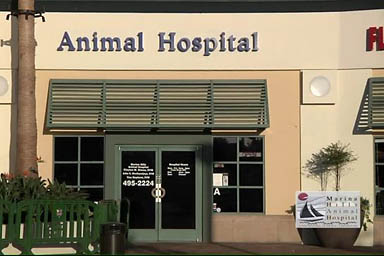 Marina Hills Animal Hospital