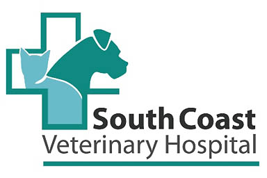 South Coast Veterinary Hospital