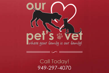 Our Pet's Vet