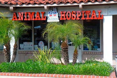 Alisos Animal Hospital