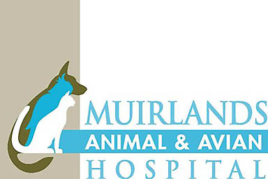 Muirlands Animal & Avian Hospital
