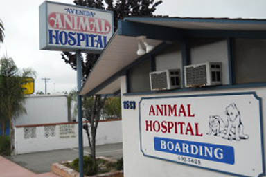 Avenida Animal Hospital